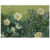 Wild Roses, Van Gogh 1889