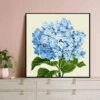 hydrangea