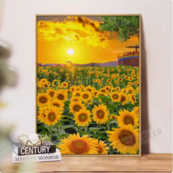 Sunflower and sunset